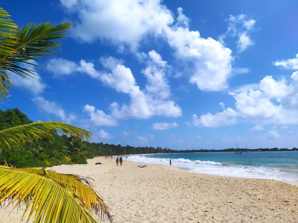 Imagine972 Martinique Bateau Hotel A Quai Le Marin 3 Cabines 3 Salles De Bains 6 Pers Maxi Exterior foto
